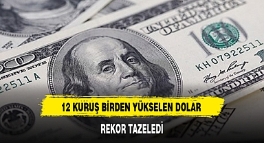 12 KURUŞ BİRDEN YÜKSELEN DOLAR REKOR TAZELEDİ