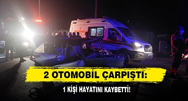 2 Otomobil Çarpıştı: 1 Kişi Hayatını Kaybetti!
