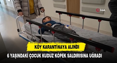 6 Yaşındaki Çocuk Kuduz Köpek Saldırısına Uğradı
