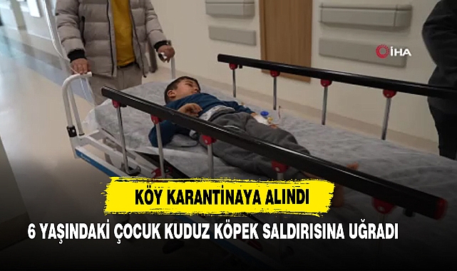 6 Yaşındaki Çocuk Kuduz Köpek Saldırısına Uğradı
