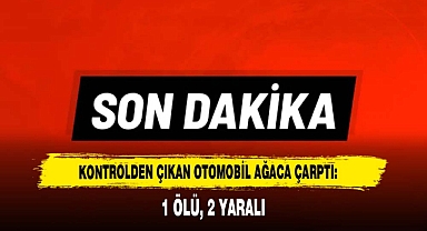 Afyon'da Kontrolden Çıkan Otomobil Ağaca Çarptı: 1 Ölü, 2 Yaralı
