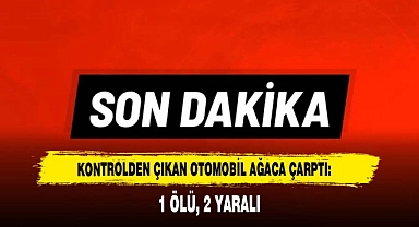 Afyon'da Kontrolden Çıkan Otomobil Ağaca Çarptı: 1 Ölü, 2 Yaralı
