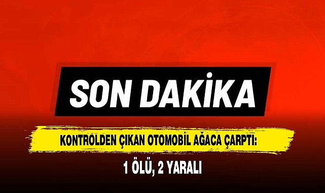 Afyon'da Kontrolden Çıkan Otomobil Ağaca Çarptı: 1 Ölü, 2 Yaralı