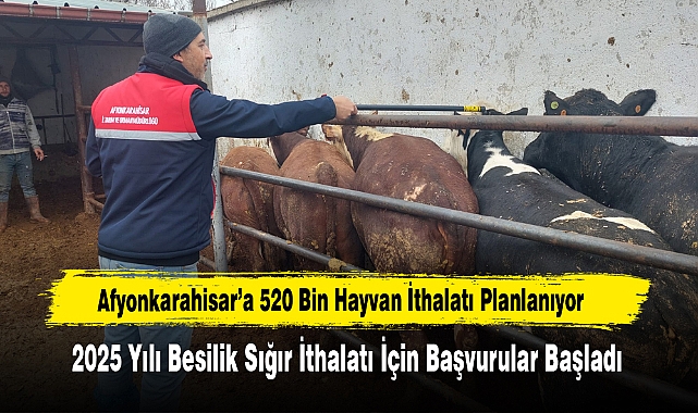 Afyonkarahisar’a 520 Bin Hayvan İthalatı Planlanıyor