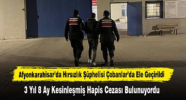 Afyonkarahisar'da Hırsızlık Şüphelisi Çobanlar'da Ele Geçirildi