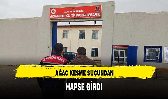 AĞAÇ KESME SUÇUNDAN HAPSE GİRDİ