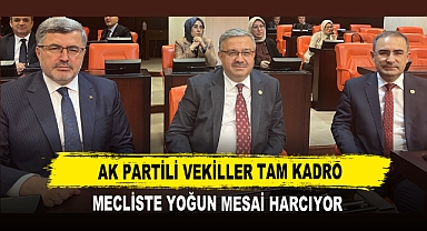 AK Partili Vekiller Tam Kadro Mecliste Yoğun Mesai Harcıyor