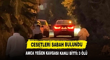 Amca Yeğen Kavgası Kanlı Bitti: 3 Ölü