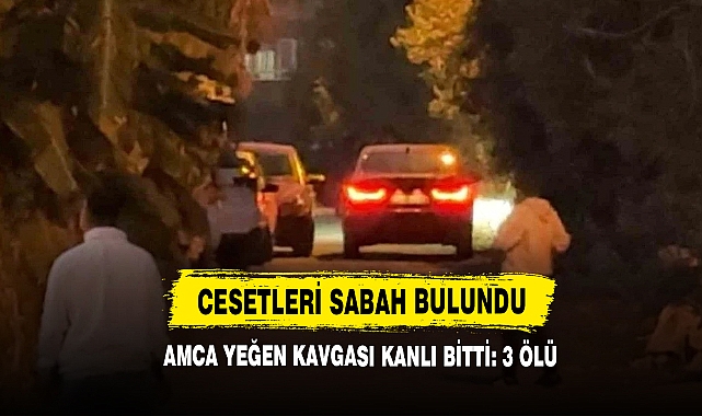 Amca Yeğen Kavgası Kanlı Bitti: 3 Ölü
