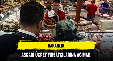 BAKANLIK ASGARİ ÜCRET FIRSATÇILARINA ACIMADI