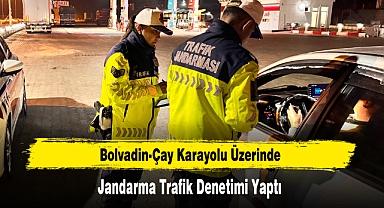 Bolvadin-Çay Karayolu Üzerinde Jandarma Trafik Denetimi Yaptı