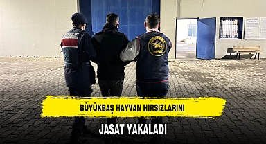 BÜYÜKBAŞ HAYVAN HIRSIZLARINI JASAT YAKALADI