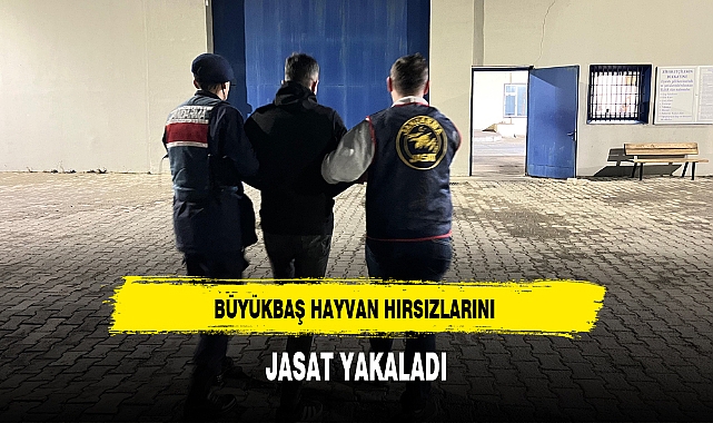 BÜYÜKBAŞ HAYVAN HIRSIZLARINI JASAT YAKALADI
