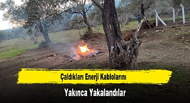 Çaldıkları Enerji Kablolarını Yakınca Yakalandılar