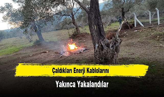 Çaldıkları Enerji Kablolarını Yakınca Yakalandılar