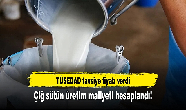 Çiğ sütün üretim maliyeti hesaplandı! TÜSEDAD tavsiye fiyatı verdi