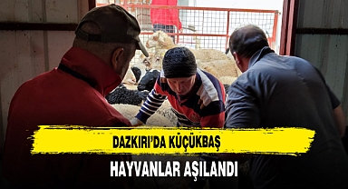 Dazkırı’da Küçükbaş Hayvanlar Aşılandı