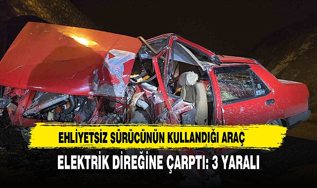 EHLİYETSİZ SÜRÜCÜNÜN KULLANDIĞI ARAÇ ELEKTRİK DİREĞİNE ÇARPTI:3 YARALI
