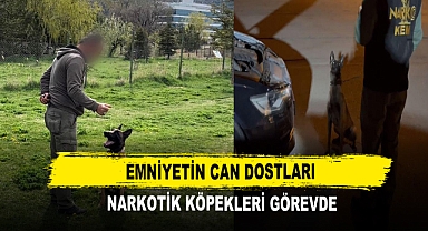 Emniyetin Can Dostları Narkotik Köpekleri Görevde