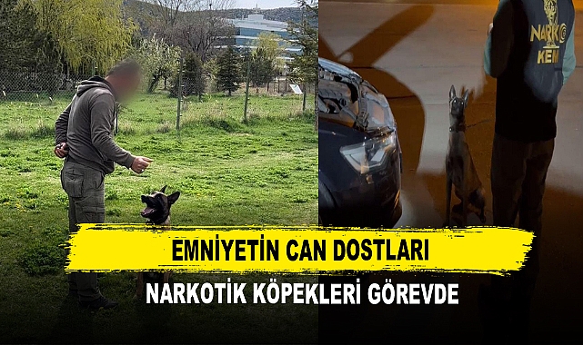 Emniyetin Can Dostları Narkotik Köpekleri Görevde