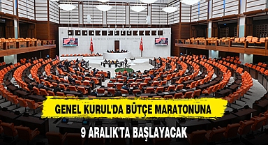 GENEL KURUL'DA BÜTÇE MARATONUNA 9 ARALIK'TA BAŞLAYACAK