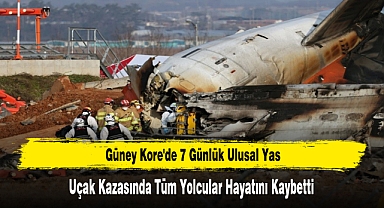 Güney Kore'de 7 Günlük Ulusal Yas Uçak Kazasında Tüm Yolcular Hayatını Kaybetti