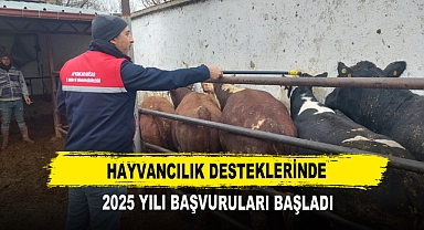 Hayvancılık Desteklerinde 2025 Yılı Başvuruları Başladı