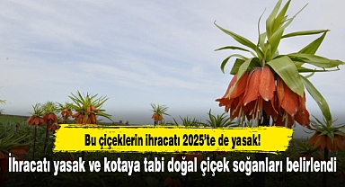 İhracatı yasak ve kotaya tabi doğal çiçek soğanları belirlendi