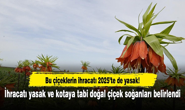 İhracatı yasak ve kotaya tabi doğal çiçek soğanları belirlendi
