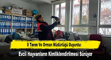 İl Tarım Ve Orman Müdürlüğü Duyurdu: Evcil Hayvanların Kimliklendirilmesi Sürüyor