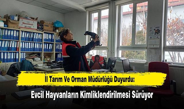 İl Tarım Ve Orman Müdürlüğü Duyurdu: Evcil Hayvanların Kimliklendirilmesi Sürüyor