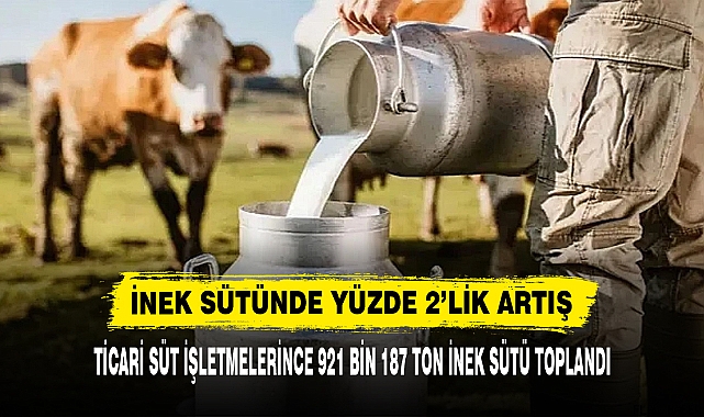 İNEK SÜTÜNDE YÜZDE 2’LİK ARTIŞ