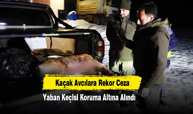 Kaçak Avcılara Rekor Ceza