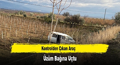 Kontrolden Çıkan Araç Üzüm Bağına Uçtu