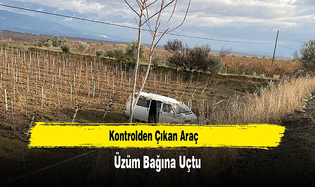 Kontrolden Çıkan Araç Üzüm Bağına Uçtu