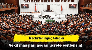 Meclis'ten ilginç talepler: Vekil maaşları asgari ücrete eşitlensin!