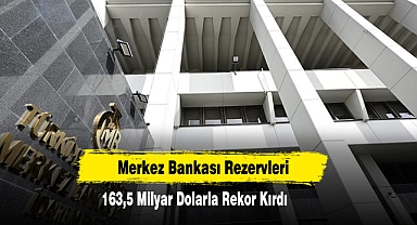Merkez Bankası Rezervleri 163,5 Milyar Dolarla Rekor Kırdı