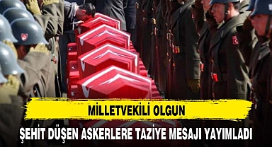 MİLLETVEKİLİ OLGUN ŞEHİT DÜŞEN ASKERLERE TAZİYE MESAJI YAYIMLADI