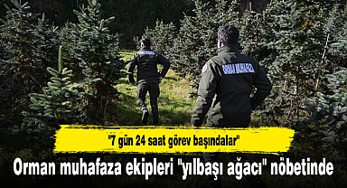 Orman muhafaza ekipleri