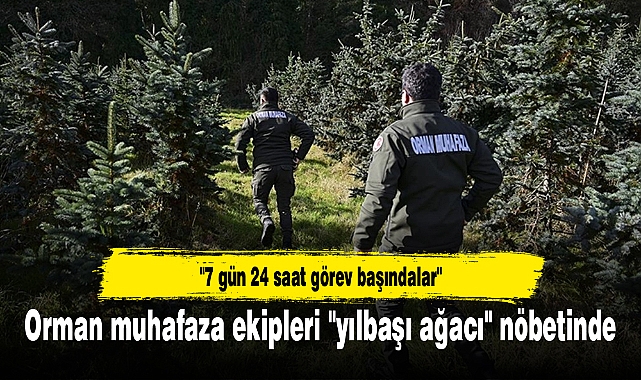 Orman muhafaza ekipleri "yılbaşı ağacı" nöbetinde