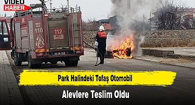Park Halindeki Tofaş Otomobil Alevlere Teslim Oldu