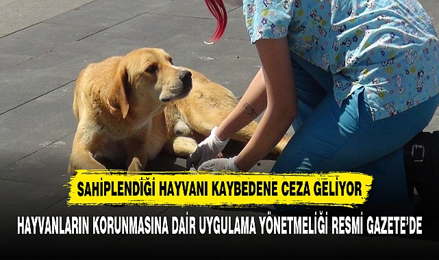 SAHİPLENDİĞİ HAYVANI KAYBEDENE CEZA GELİYOR