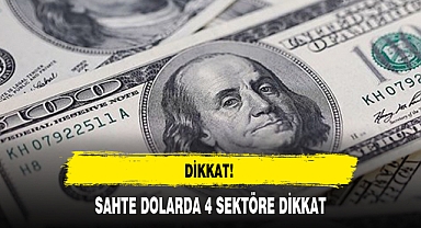 SAHTE DOLARDA 4 SEKTÖRE DİKKAT