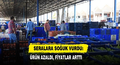 Seralara Soğuk Vurdu: Ürün Azaldı, Fiyatlar Arttı
