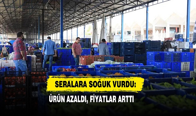 Seralara Soğuk Vurdu: Ürün Azaldı, Fiyatlar Arttı