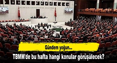 TBMM'de bu hafta hangi konular görüşülecek?