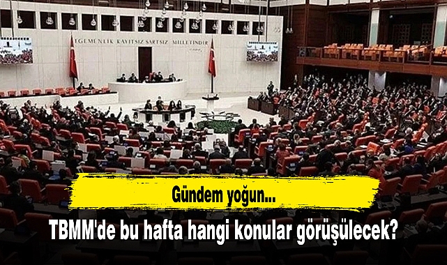 TBMM'de bu hafta hangi konular görüşülecek?
