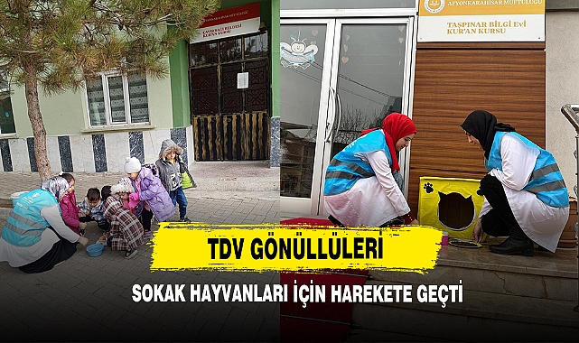 TDV Gönüllüleri Sokak Hayvanları İçin Harekete Geçti
