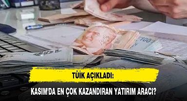 TÜİK AÇIKLADI: KASIM'DA EN ÇOK KAZANDIRAN YATIRIM ARACI?