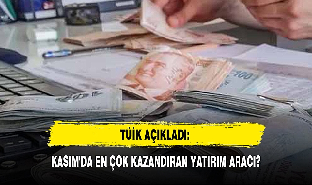 TÜİK AÇIKLADI: KASIM'DA EN ÇOK KAZANDIRAN YATIRIM ARACI?